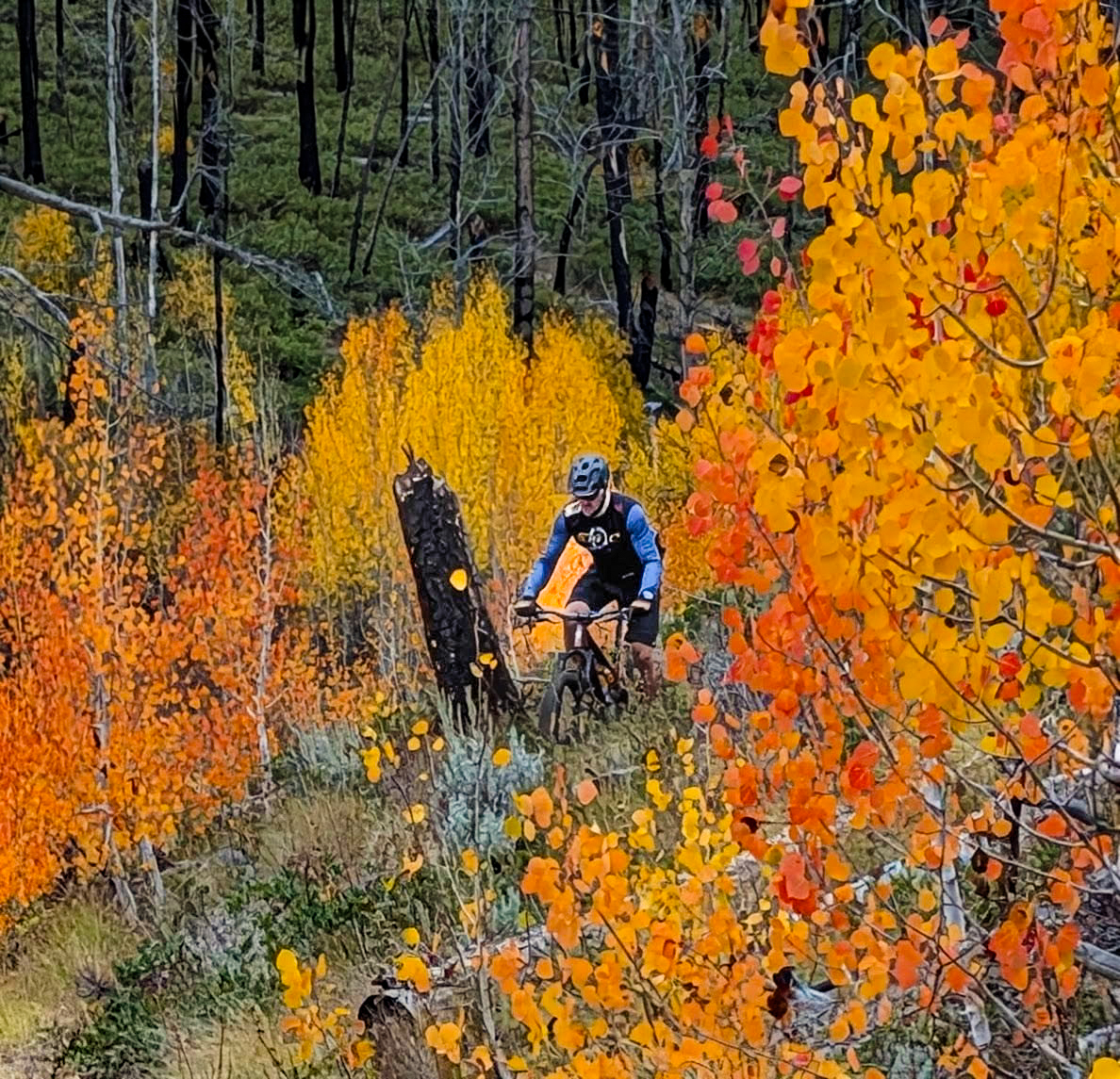 image000000 (5) - Copy